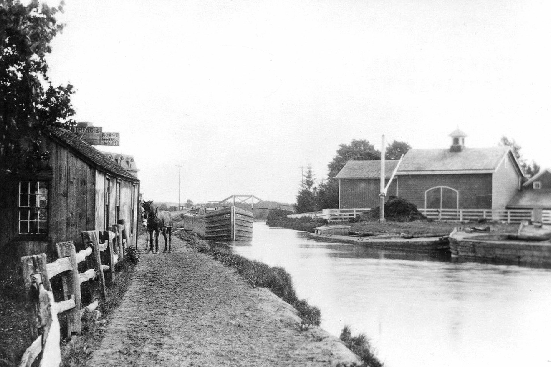 A ‘Jersey Team’ (one black and one white mule) wait outside a blacksmith shop along the canal in Clifton.